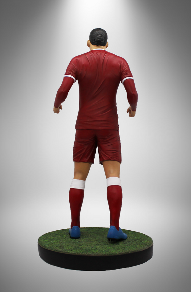 Virgil Van Dijk - Official Liverpool FC - Football&